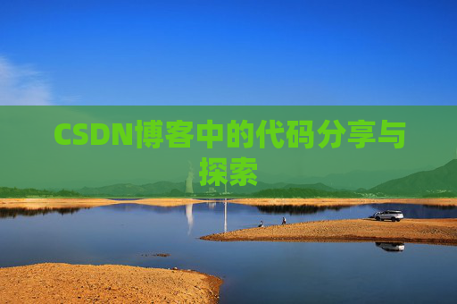 CSDN博客中的代码分享与探索
